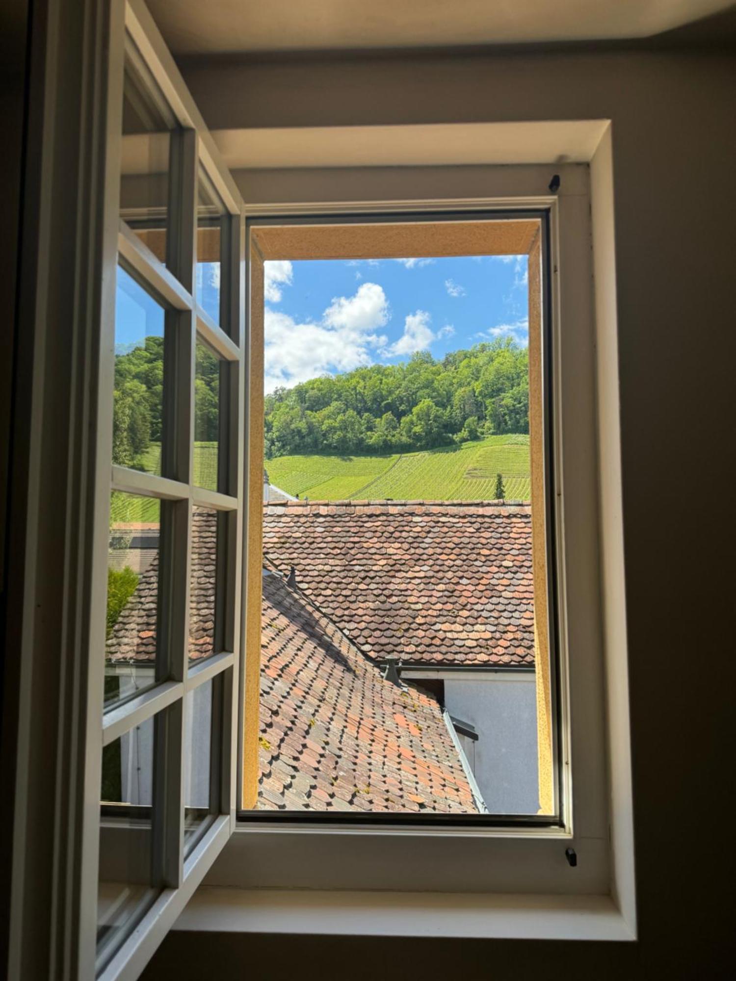 Romantik Hotel De L'Ours Sugiez エクステリア 写真
